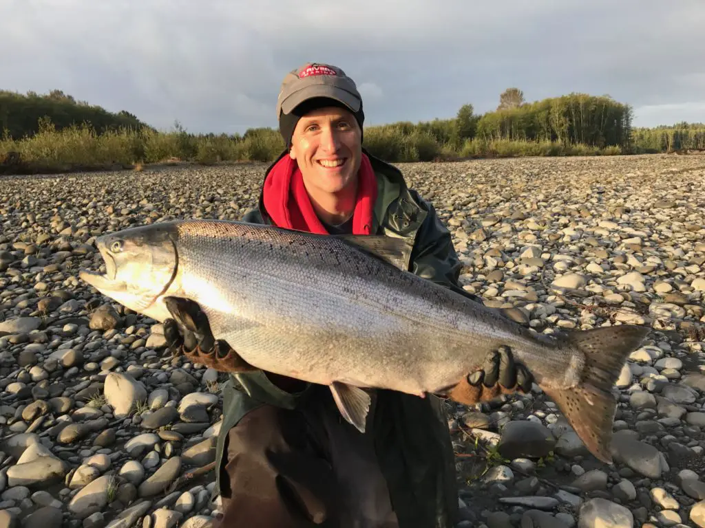 Chrome bright king salmon