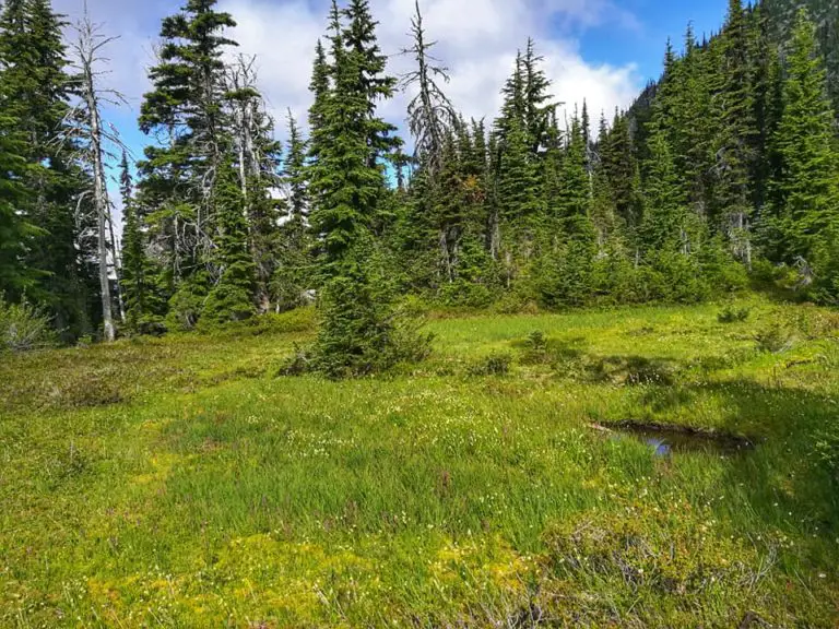 Hiking Sylvester Lake in February 2019 – PNW BestLife