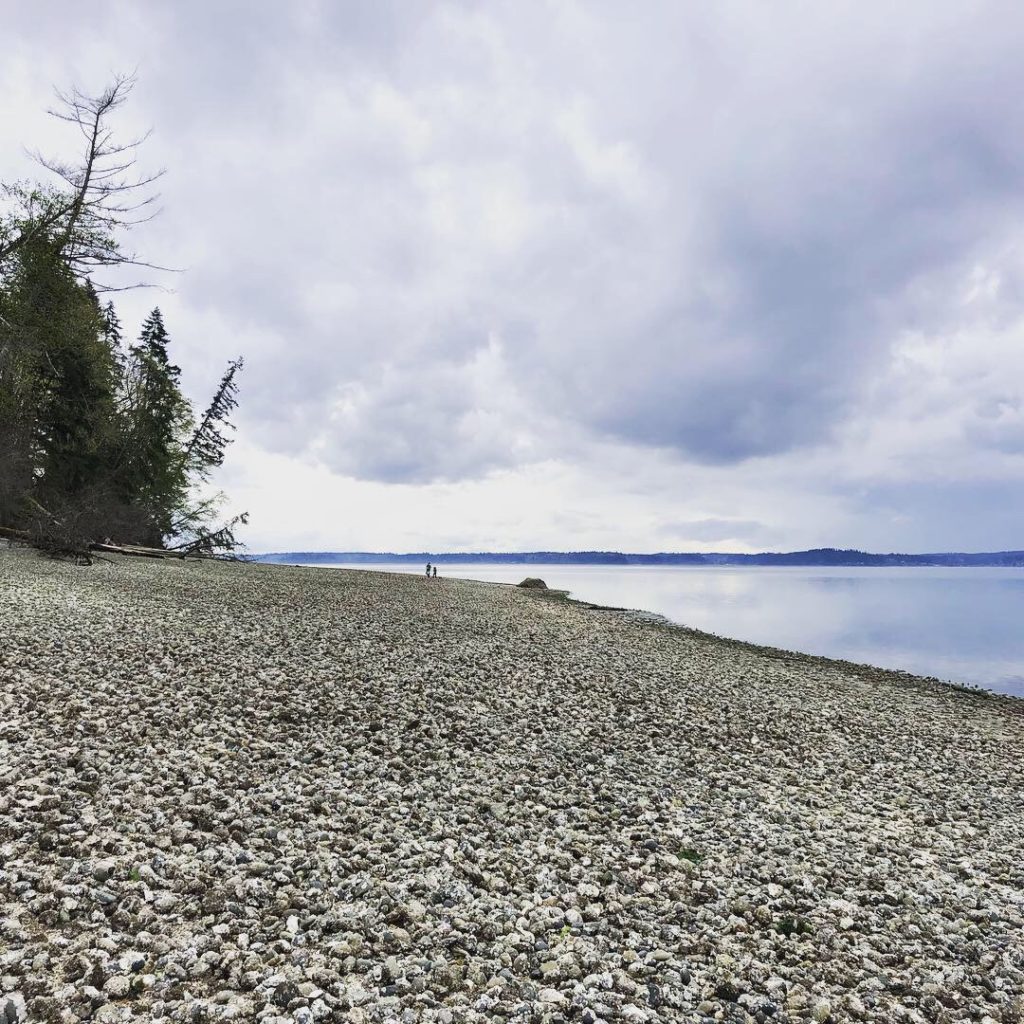 Kopachuck state park beach