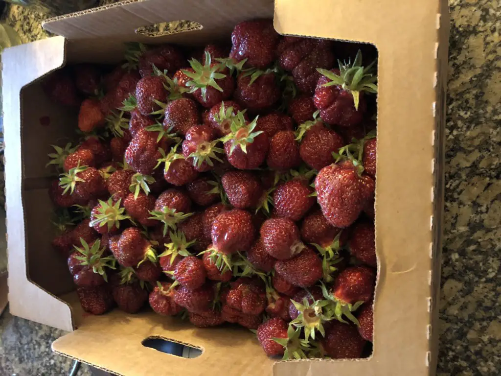 box of strawberries