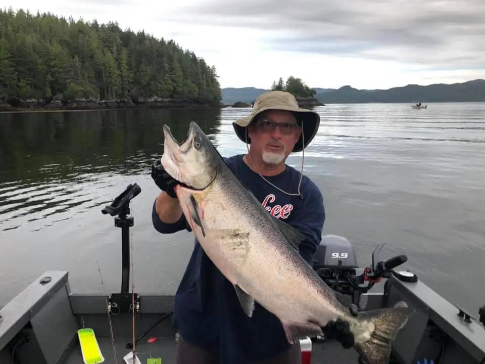 Daphne point chinook