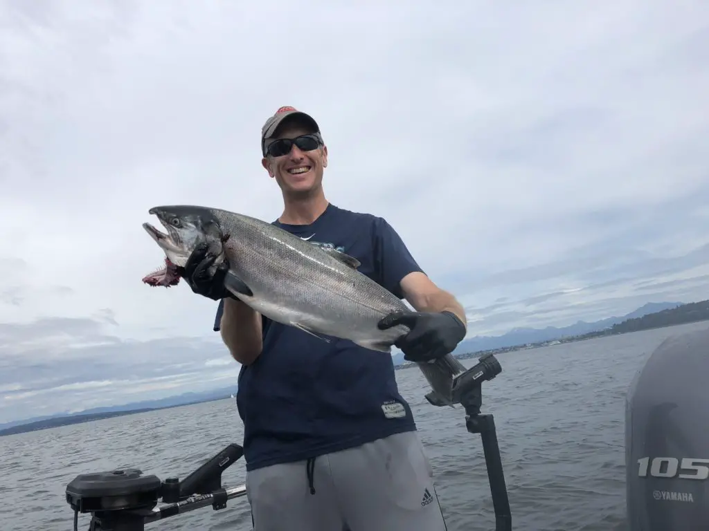 Nice coho