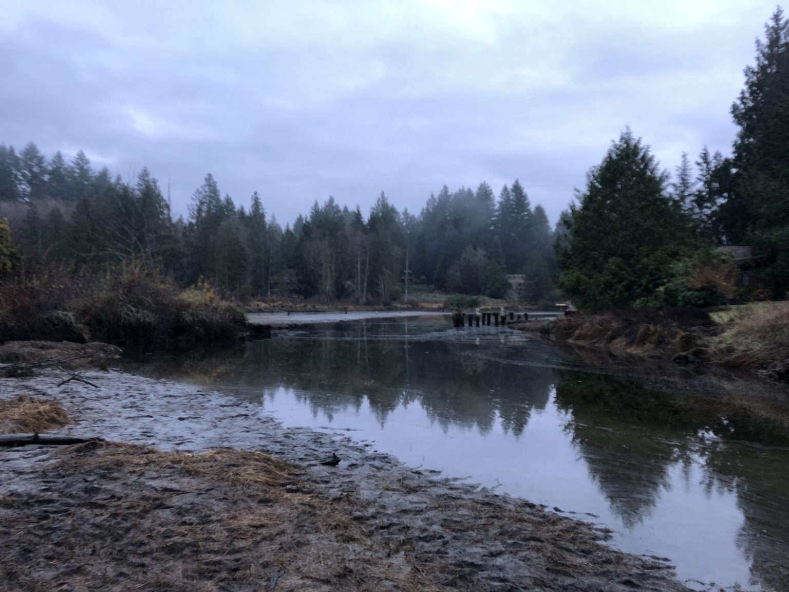 Minter Creek Float Fishing for Chum PNW Best Life