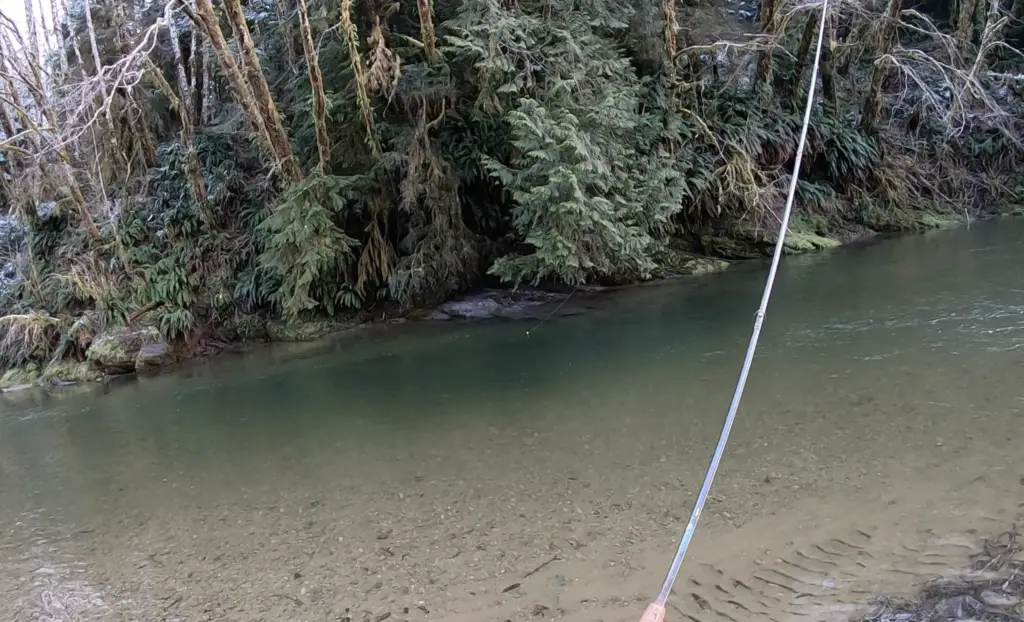 Steelhead float fishing a nice drift