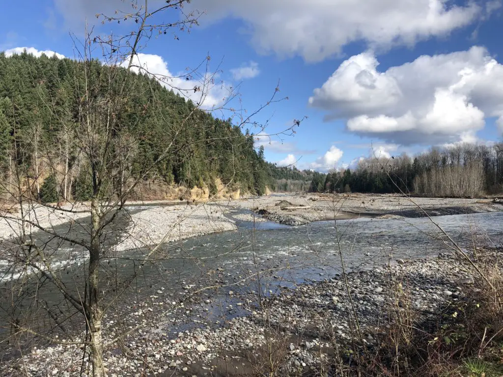 The glorious Carbon River on the way down from flood level