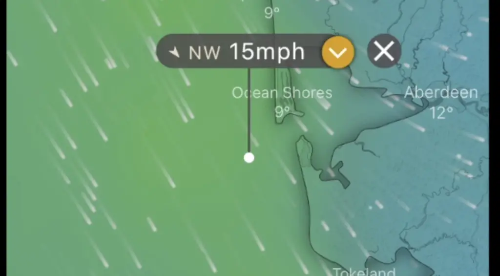 windy conditions on windy app