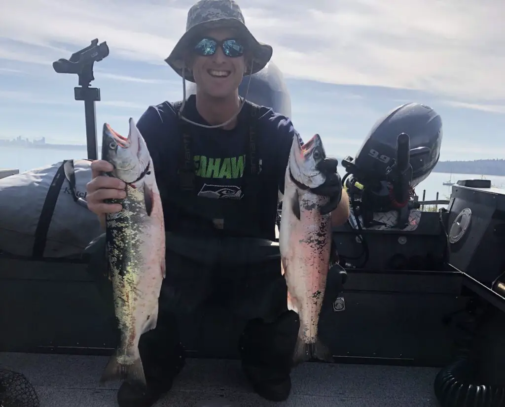 Easy limits of Resident Coho from the Puget Sound