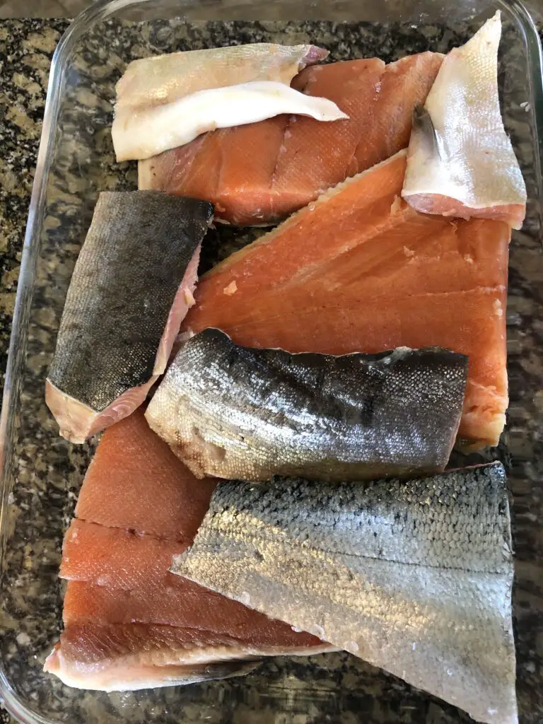 Salmon cut up ready to be brined