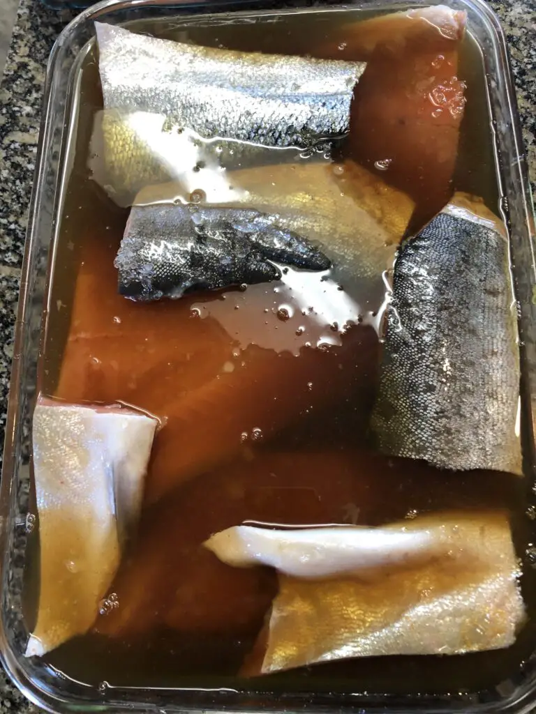 submerge salmon in wet brine mixture