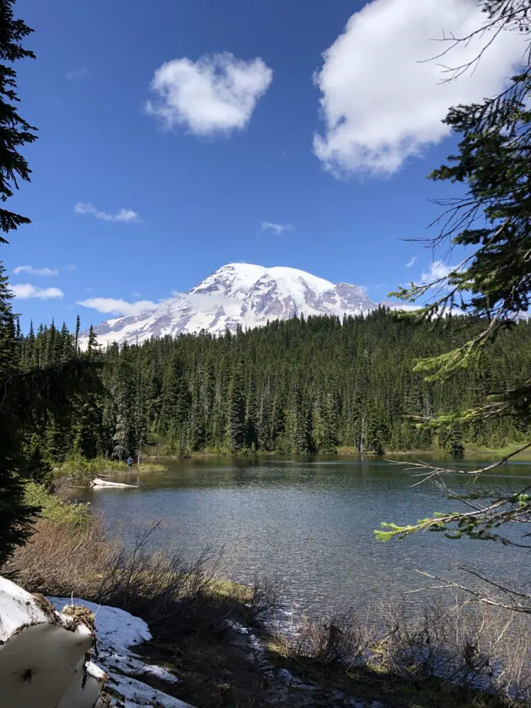 Views of Mt Rainier from Reflection Lakes