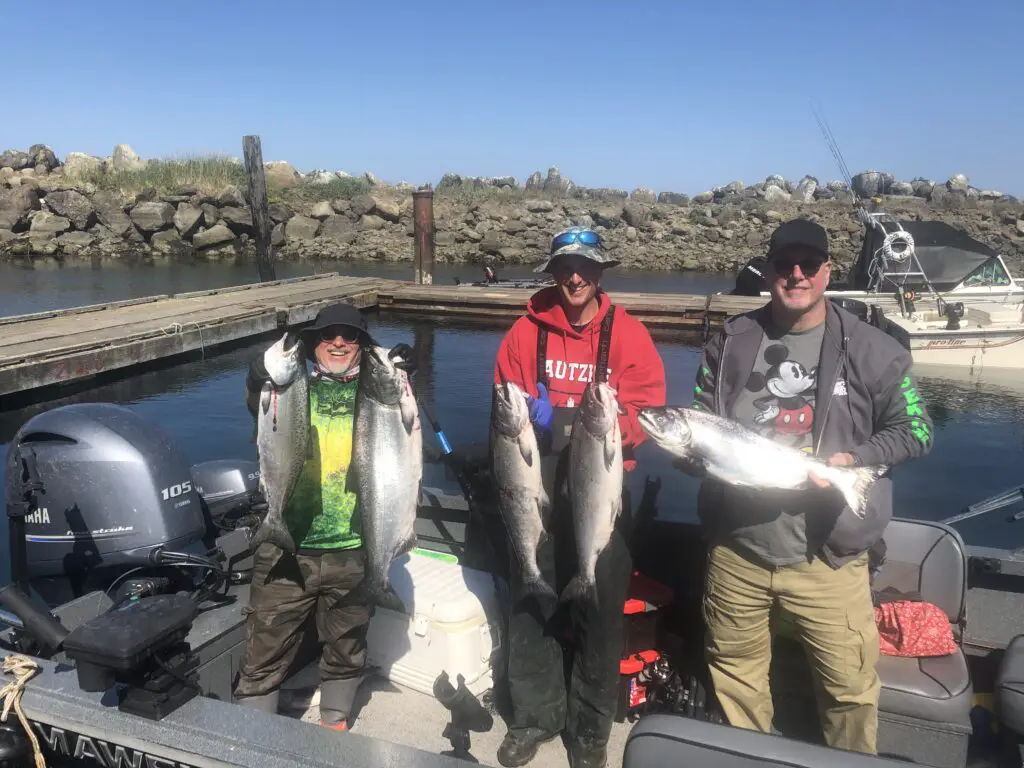 Nice haul of kings caught near Neah Bay