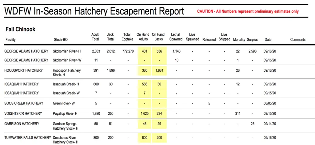 escapement report