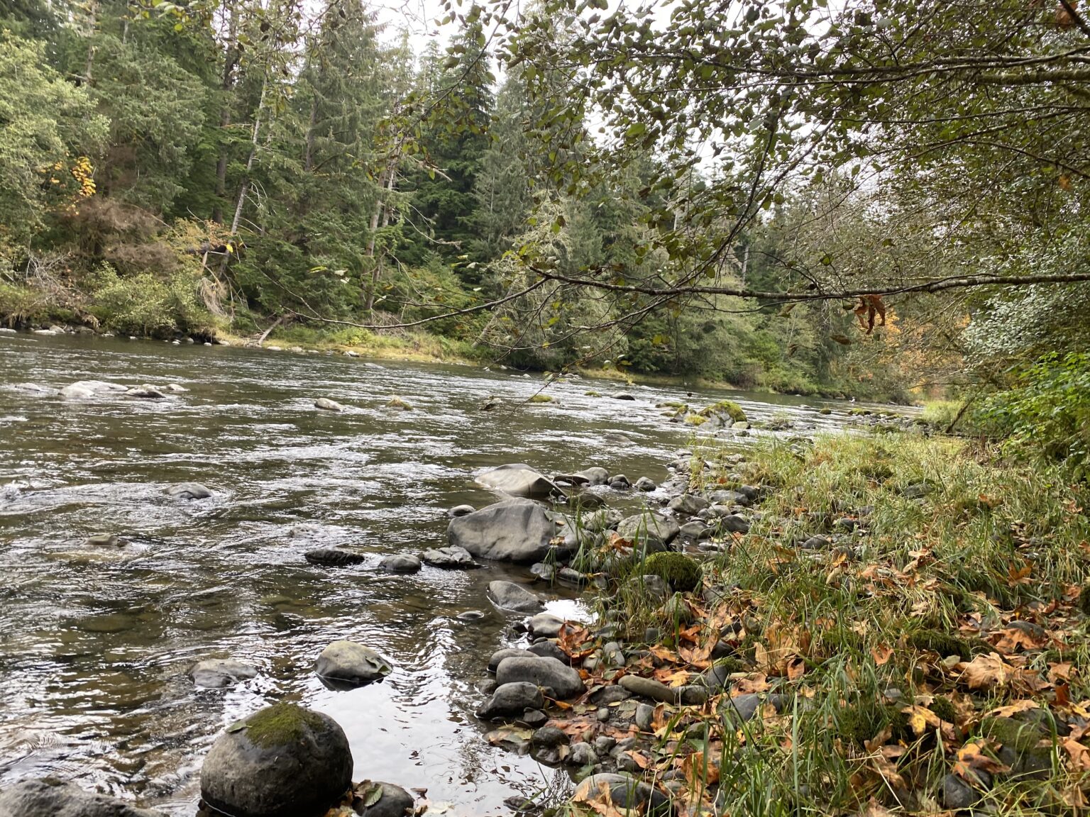Olympic peninsula salmon fishing
