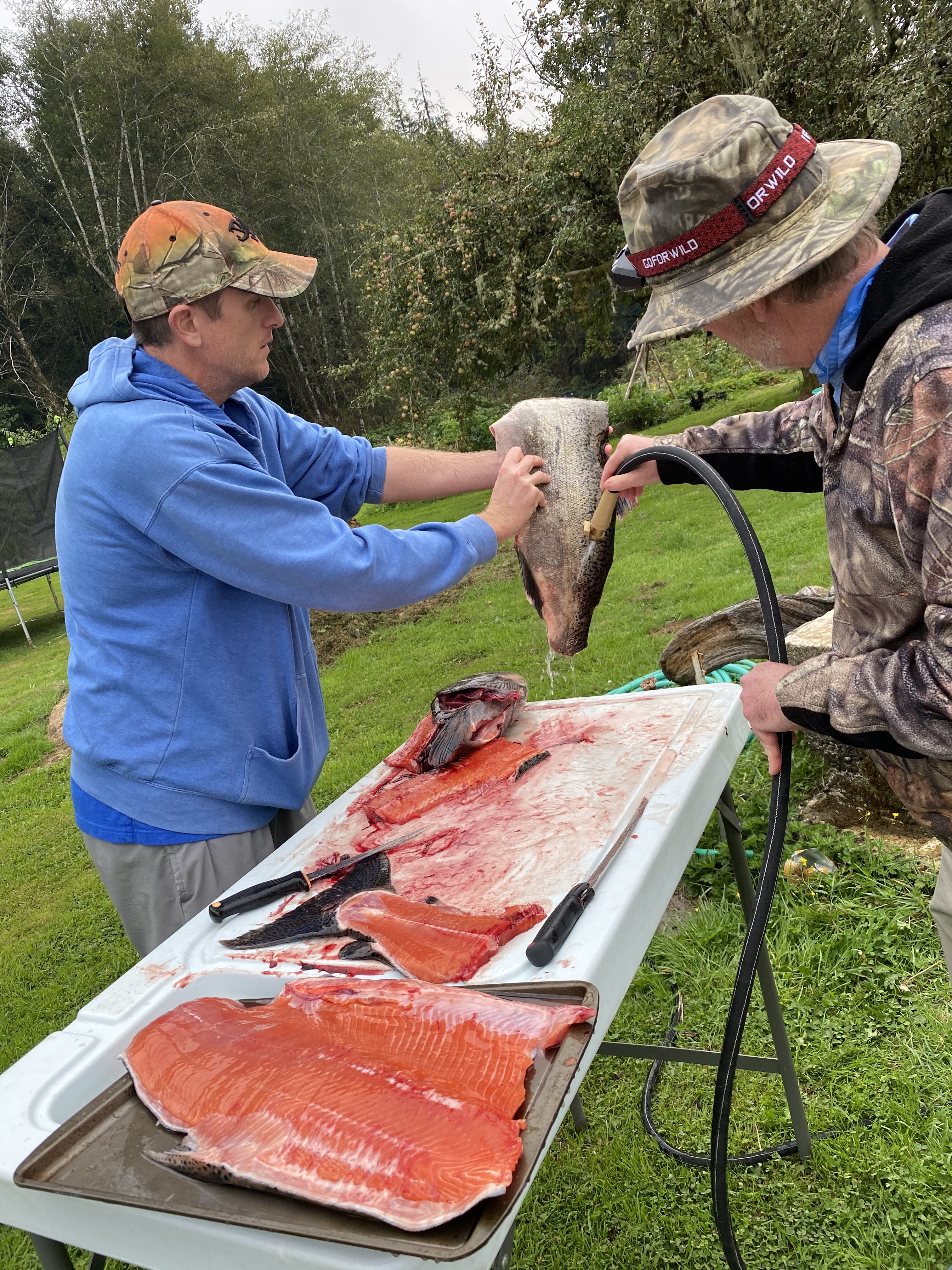 Washing off fillet of 22 lb king