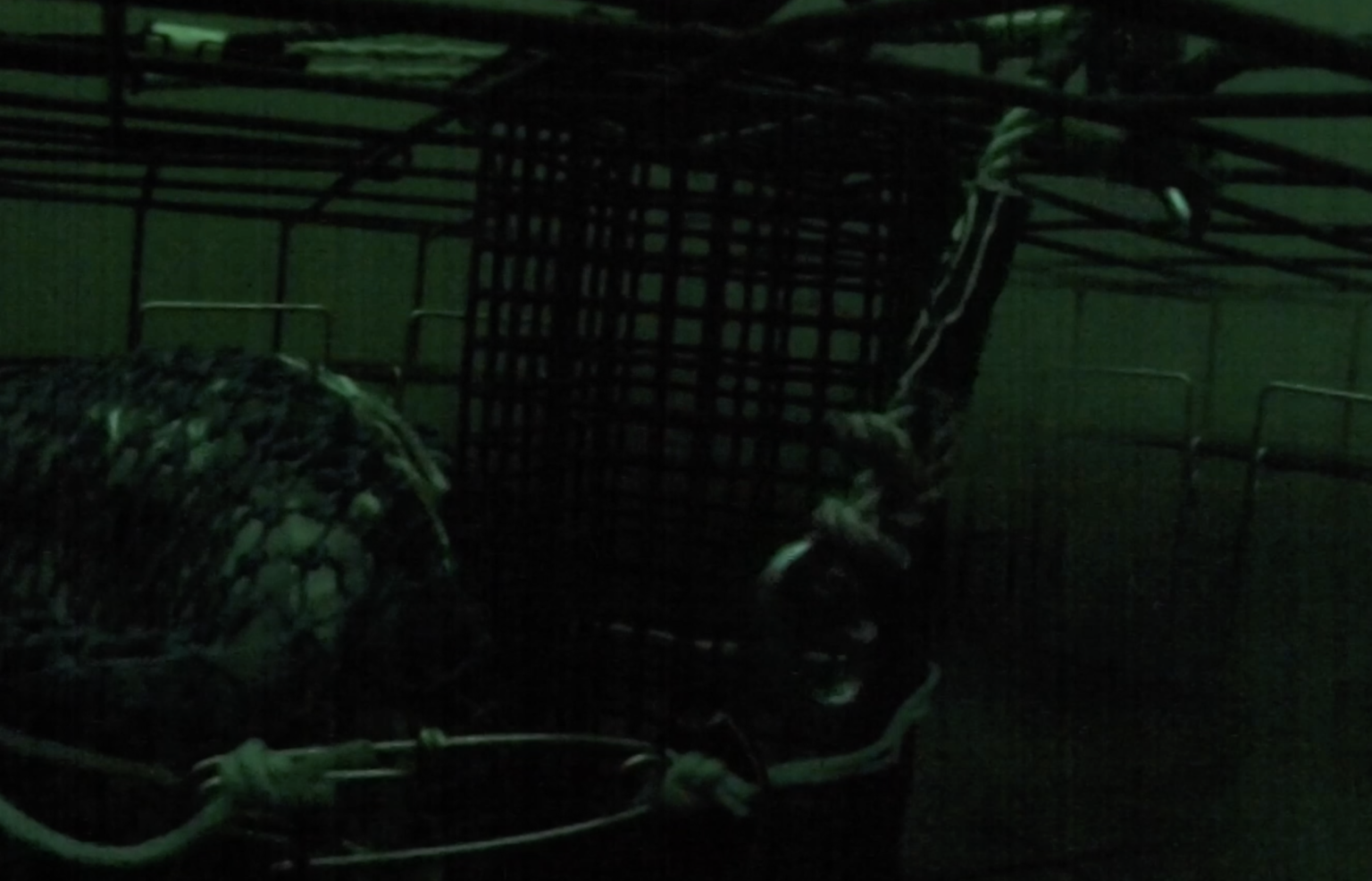 Hood Canal Crabbing and Flounder October 2020 PNW BestLife