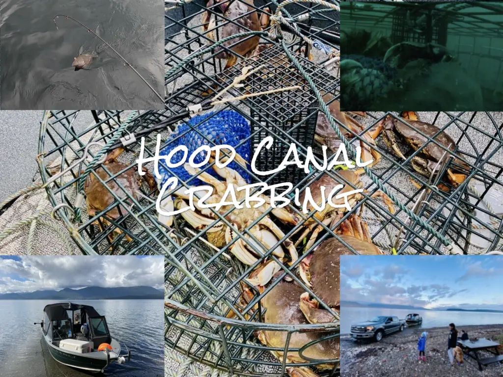 Hood canal crabbing and flounder