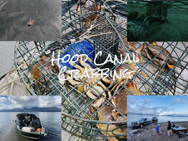 Hood Canal Crabbing and Flounder October 2020 PNW BestLife