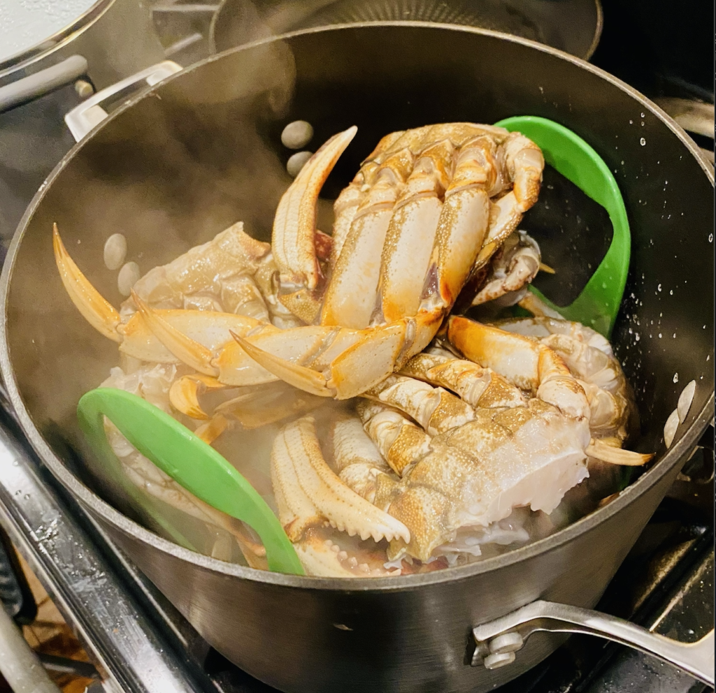 fresh steamed dungeness crab