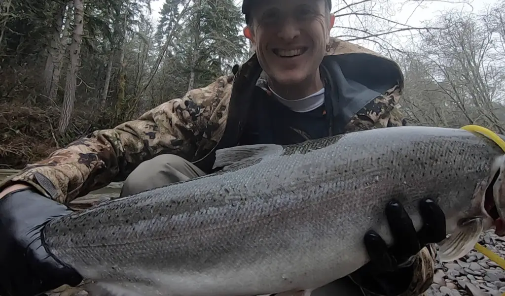 Nice chrome steelhead