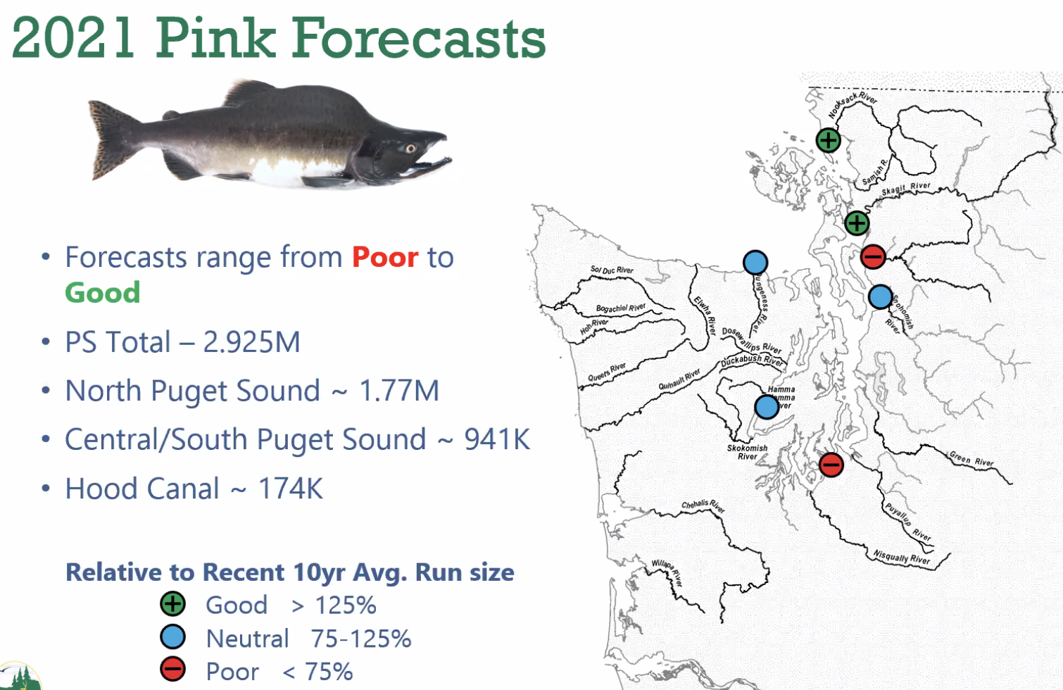 Pink Salmon Run 2021 PNW BestLife