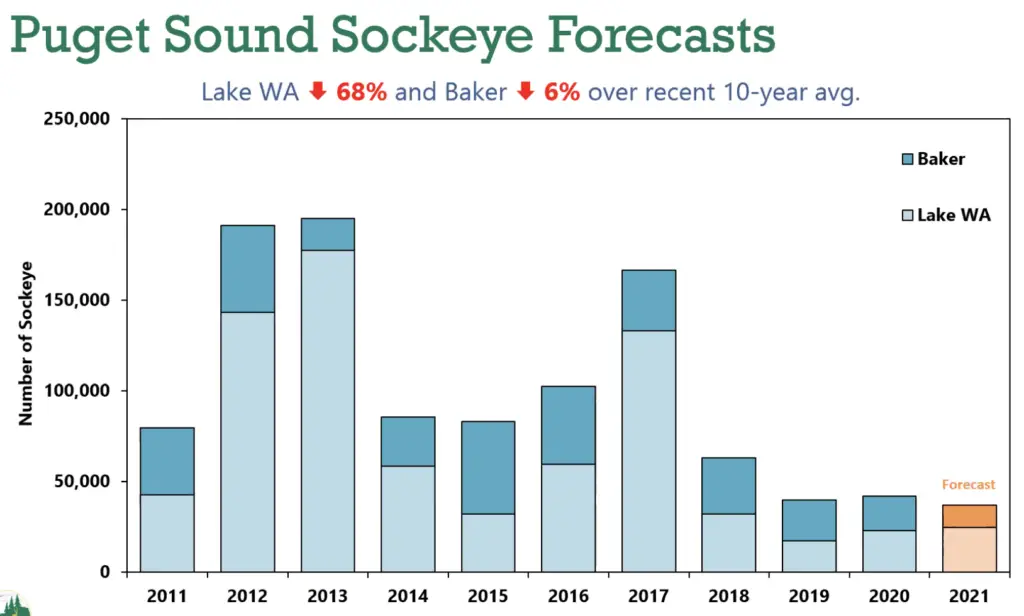 2021 puget sound sockeye forecast