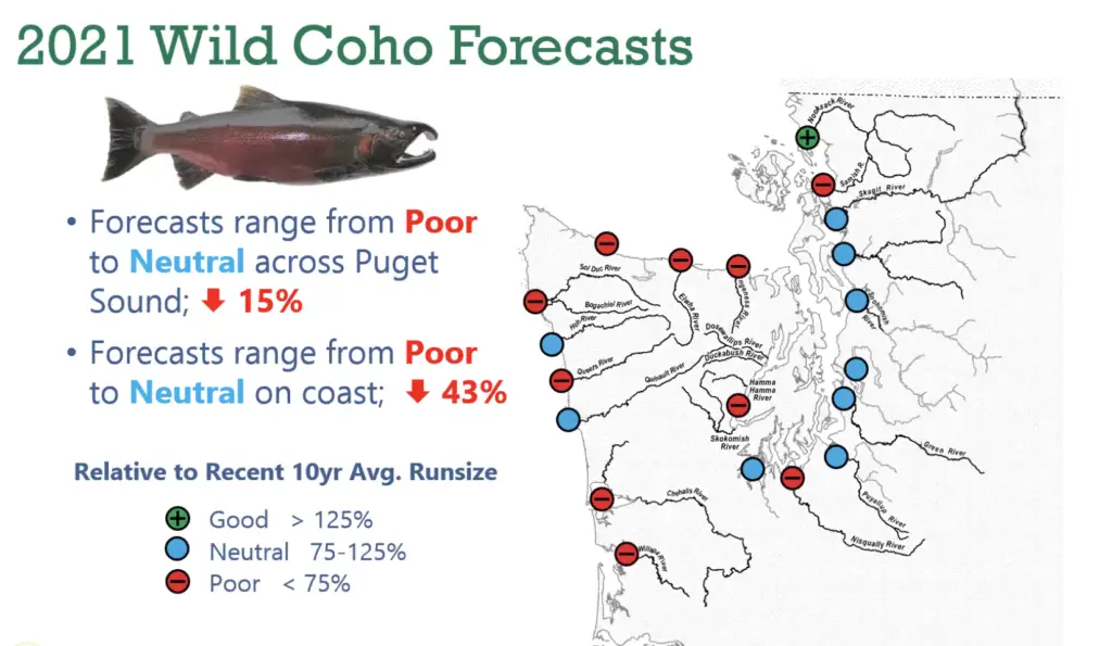 2021 wild coho forecast