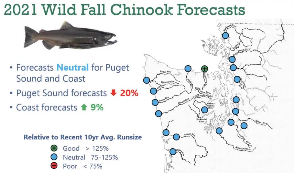 2021 wild fall chinook forecast