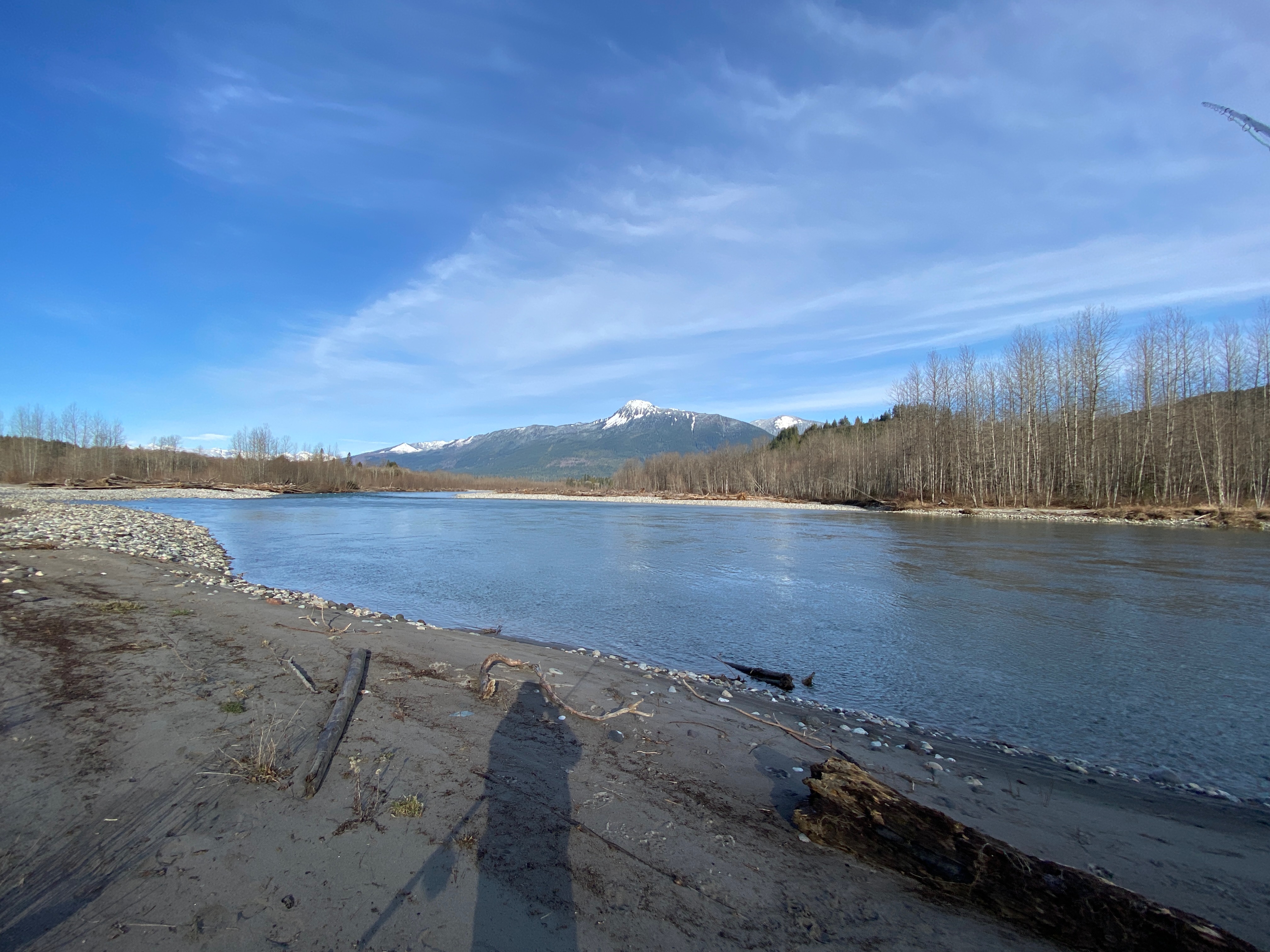 Beautiful winter steelhead drift