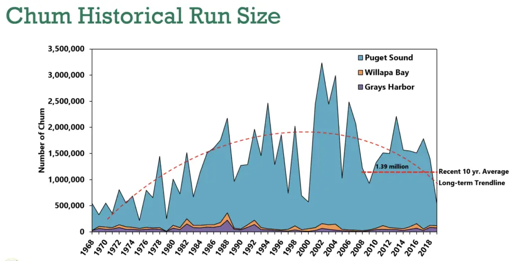historic chum run sizes