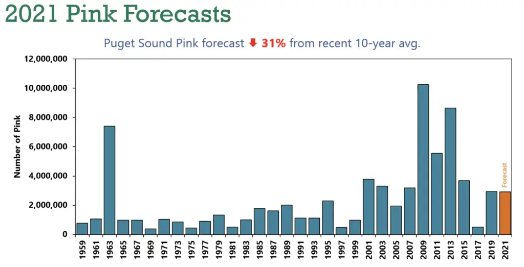 pink forecast history