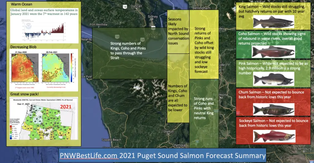 PNWBestLife Puget Sound Salmon Forecast Infographic