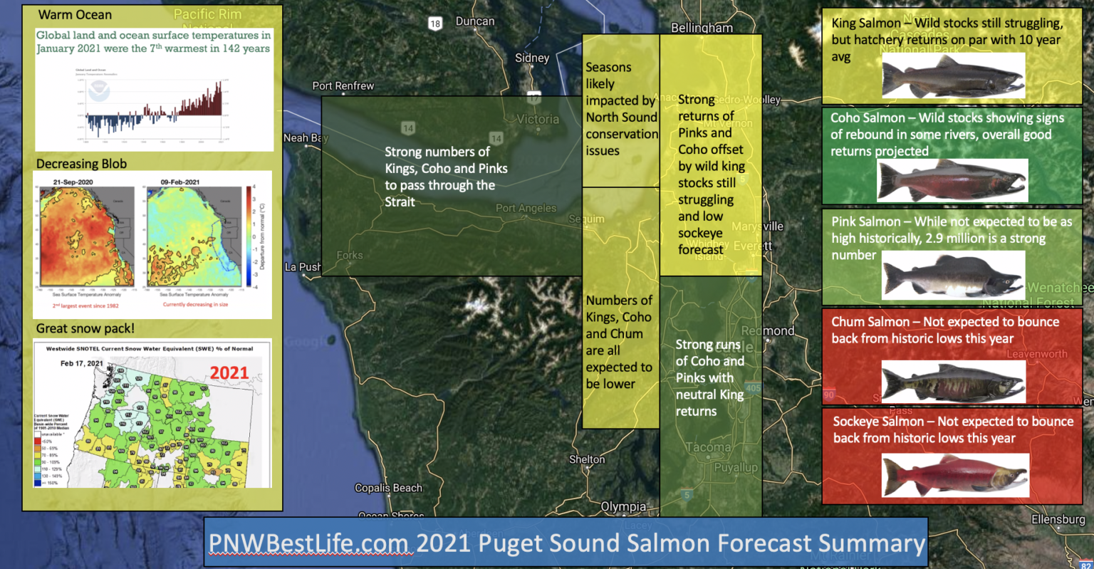 2021 Puget Sound Salmon Seasons PNW Best Life