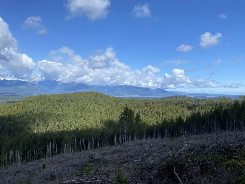 hood canal and olympics from gold creek trail