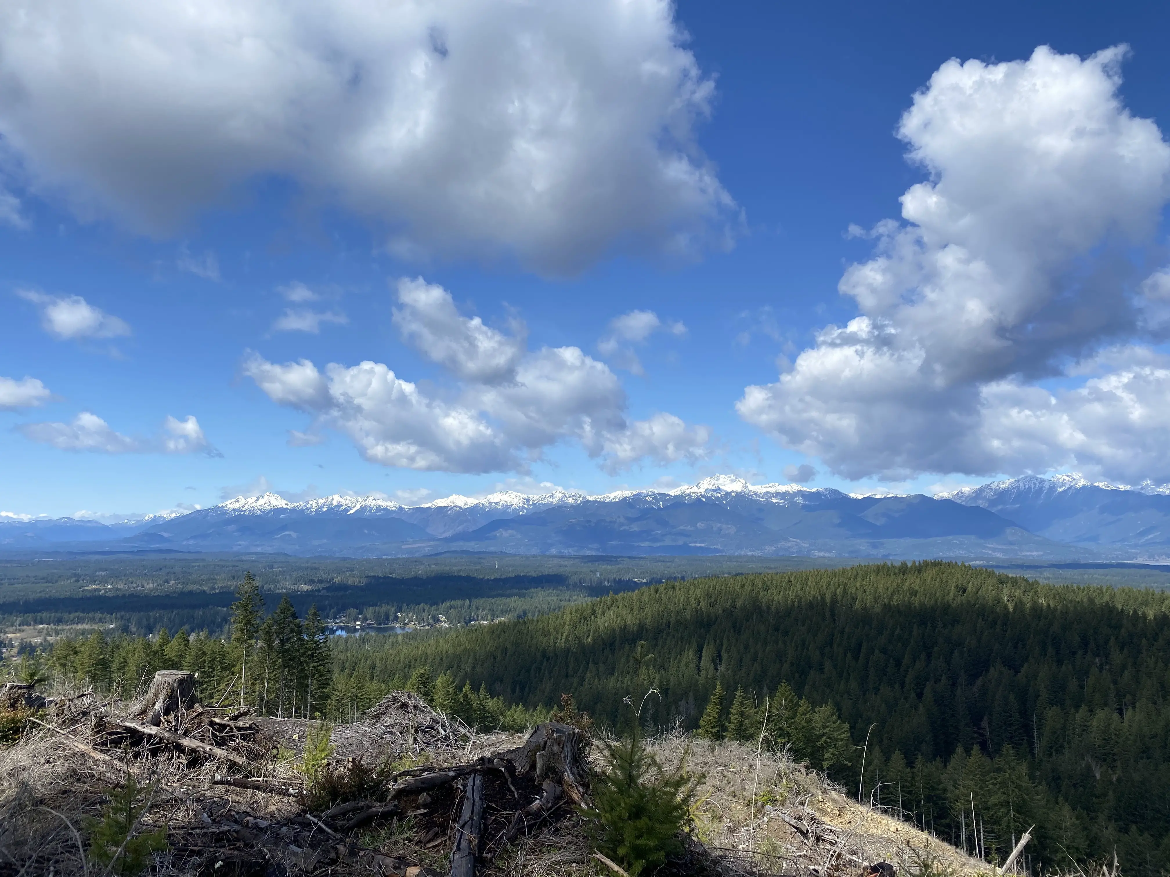 Views of the olympics from Gold Creek Trail