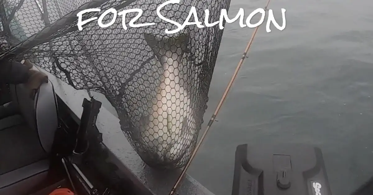 How to use a Downrigger to Fish for Salmon – PNW BestLife