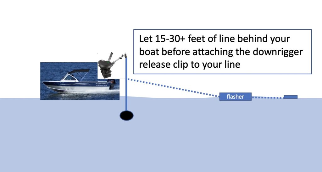 Letting line out behind the boat before attaching release clip