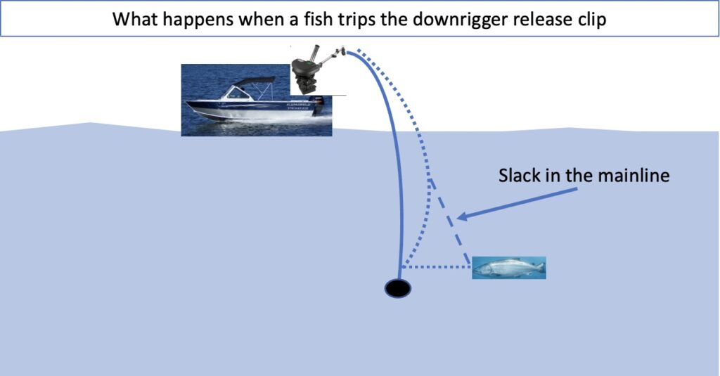 Seahorse® Downrigger with Gimbal mount