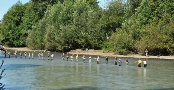 Puyallup River can draw quite a crowd during pink salmon season