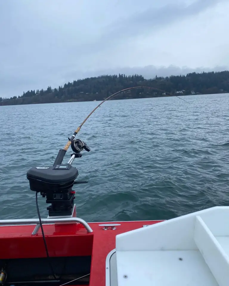 Blackmouth Fishing Puget Sound – PNW BestLife