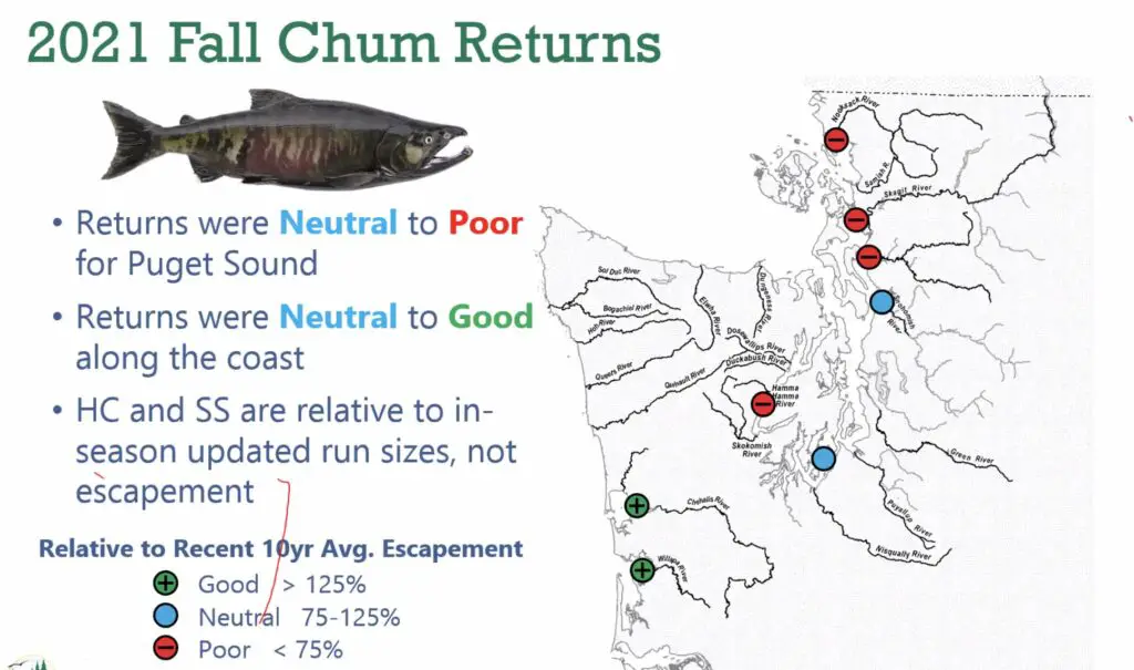 2021 Fall chum return map