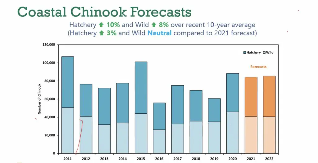 2022 Coastal chinook forecasts