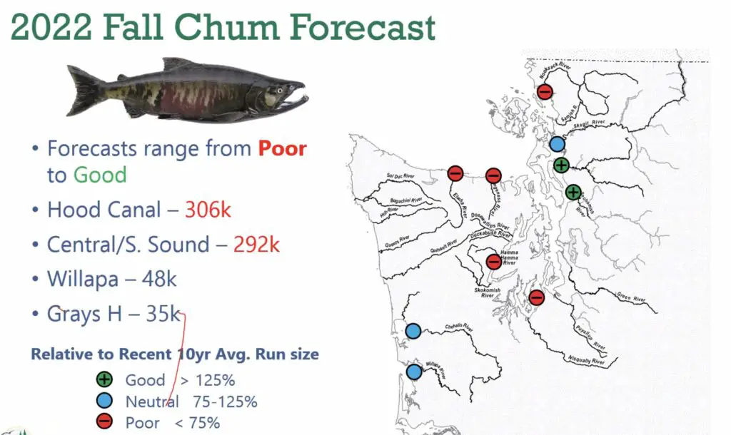 2022 Fall chum forecast map