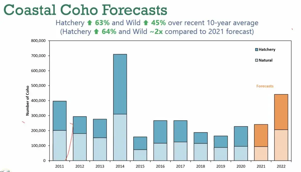 Coastal coho forecasts 2022
