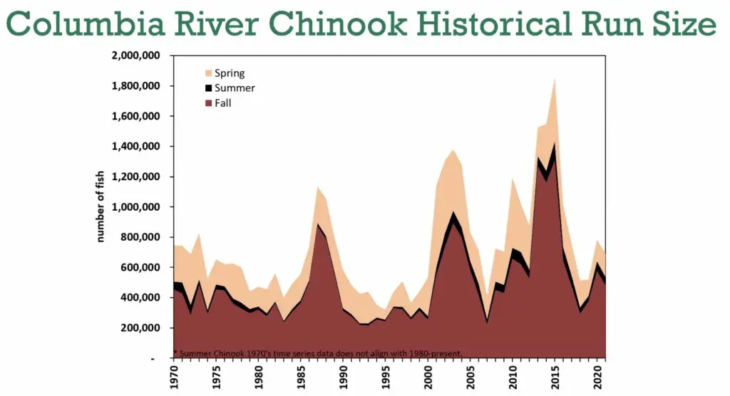 Columbia River chinook historical run size