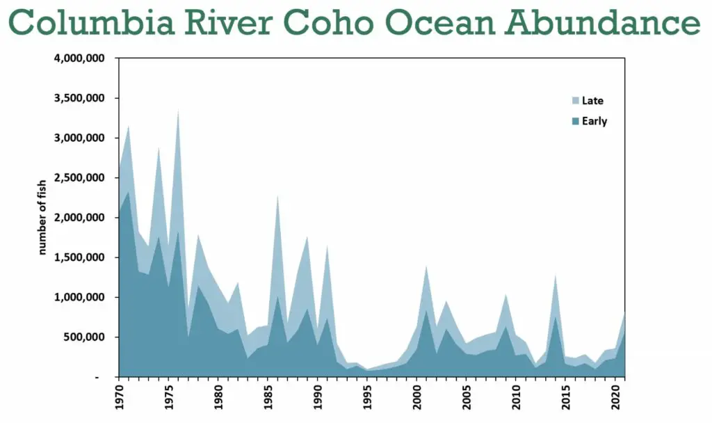 Columbia river coho ocean abundance