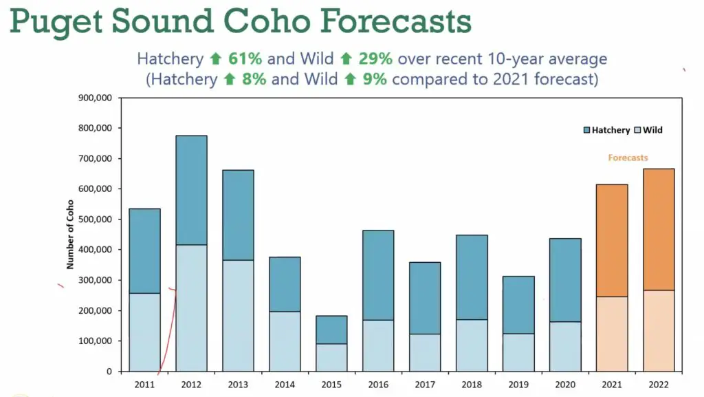 2022 Puget sound coho forecasts