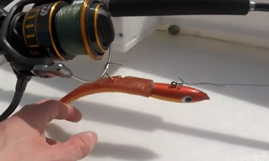 Lancer jig for lingcod closeup