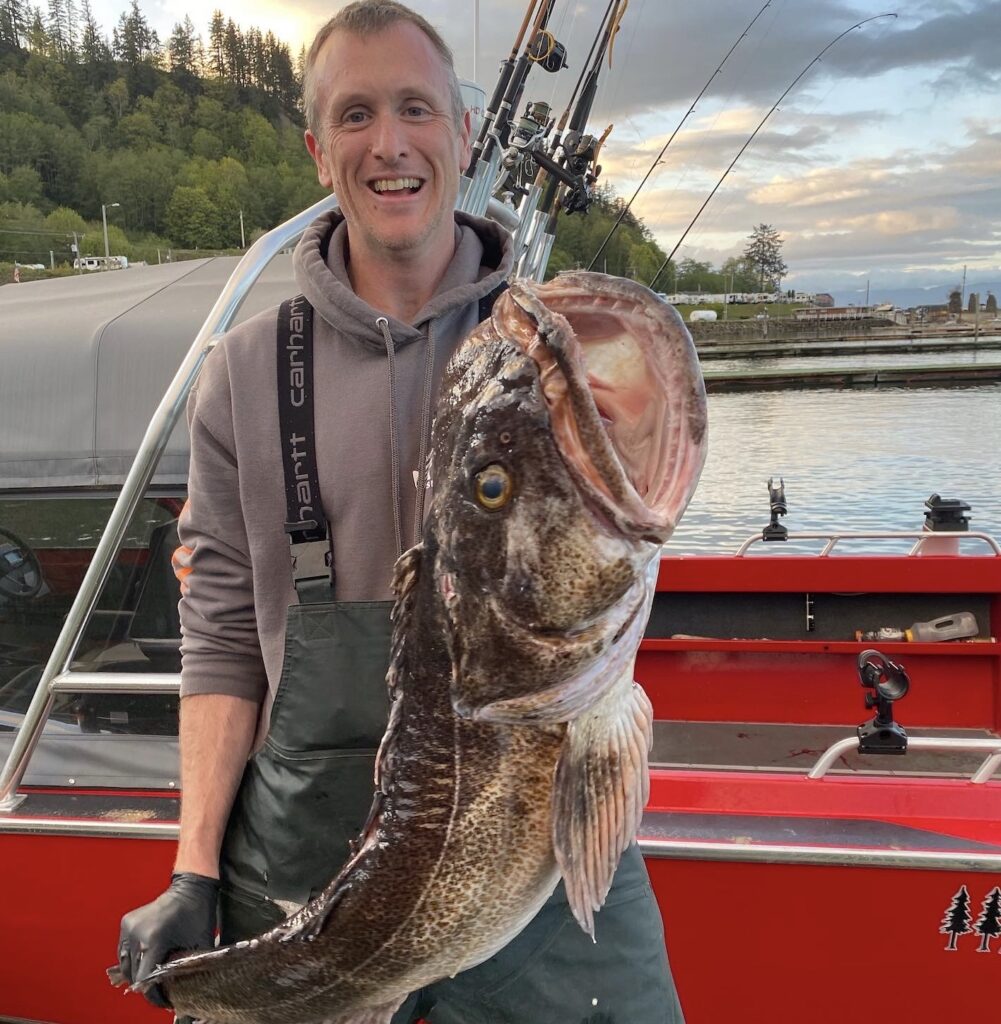 38 lb lingcod sekiu washington coast