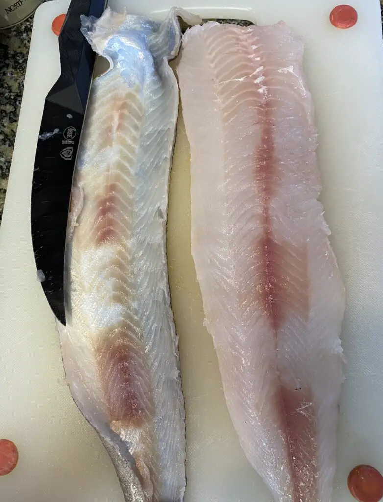 Lingcod fillets removing the skin with perfect knife
