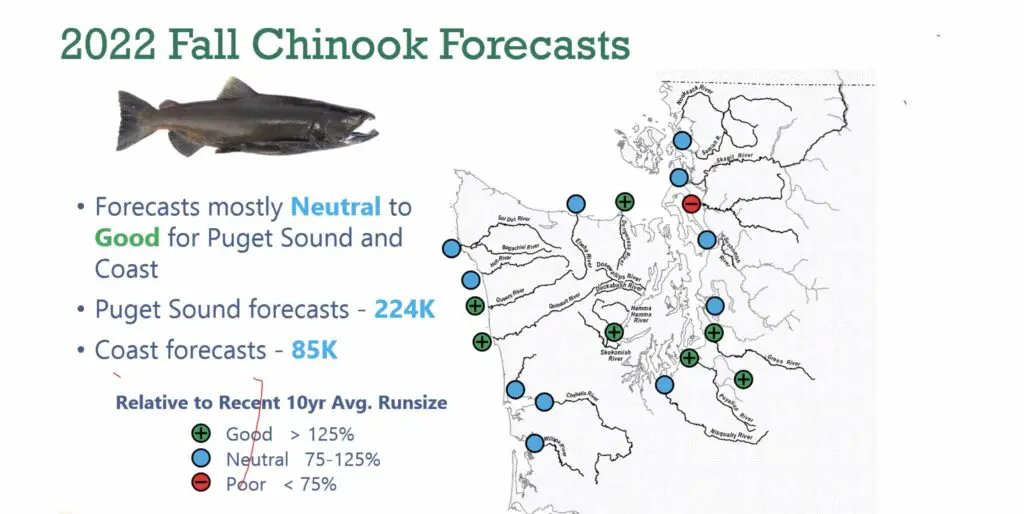 Puyallup River Salmon Fishing 2022 (2022)